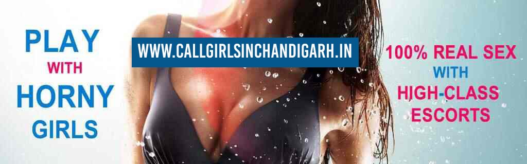 Call Girls Services chandigarh