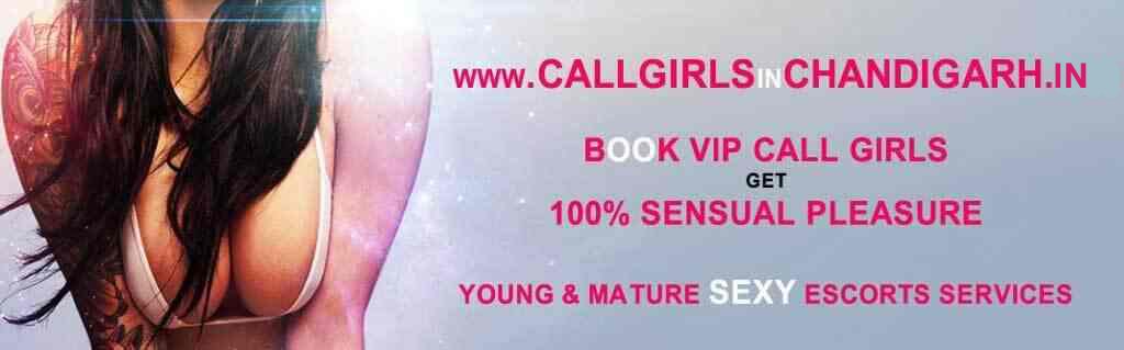 Call Girls Services chandigarh